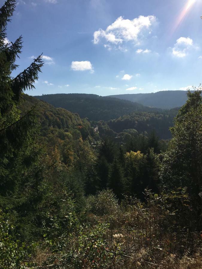 Villa Pusteblume Bad Grund Dış mekan fotoğraf