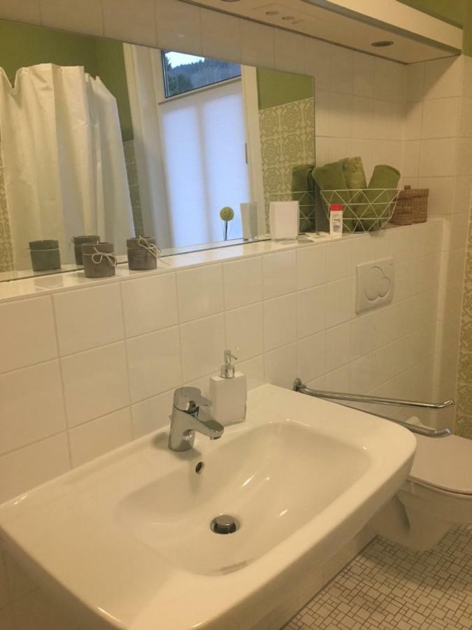 Villa Pusteblume Bad Grund Dış mekan fotoğraf