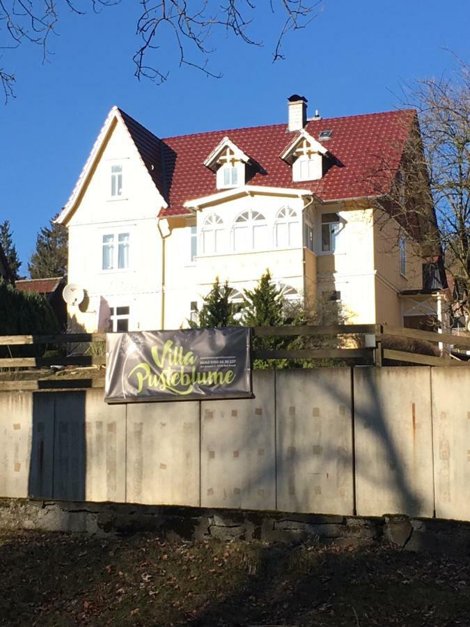 Villa Pusteblume Bad Grund Dış mekan fotoğraf