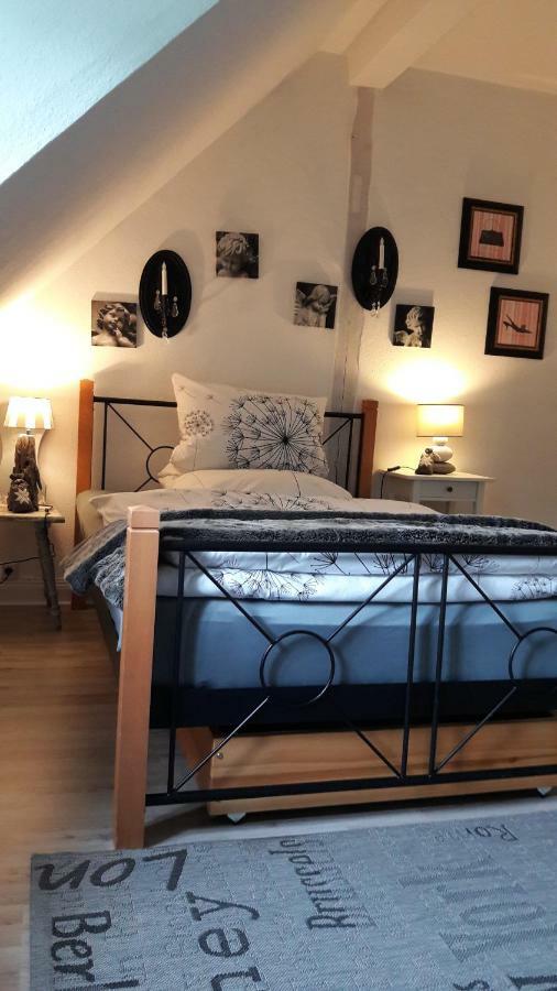 Villa Pusteblume Bad Grund Dış mekan fotoğraf